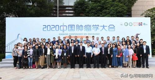 爆料河南抗癌案件最新,揭开医疗乱象背后的真相